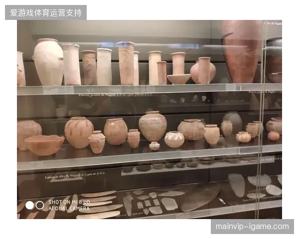 内托的快节奏突击,将丰富葡萄牙在边中结合战术上的层次感与突然性 内托的快节奏突击,将丰富葡萄牙在边中结合战术上的层次感与突然性